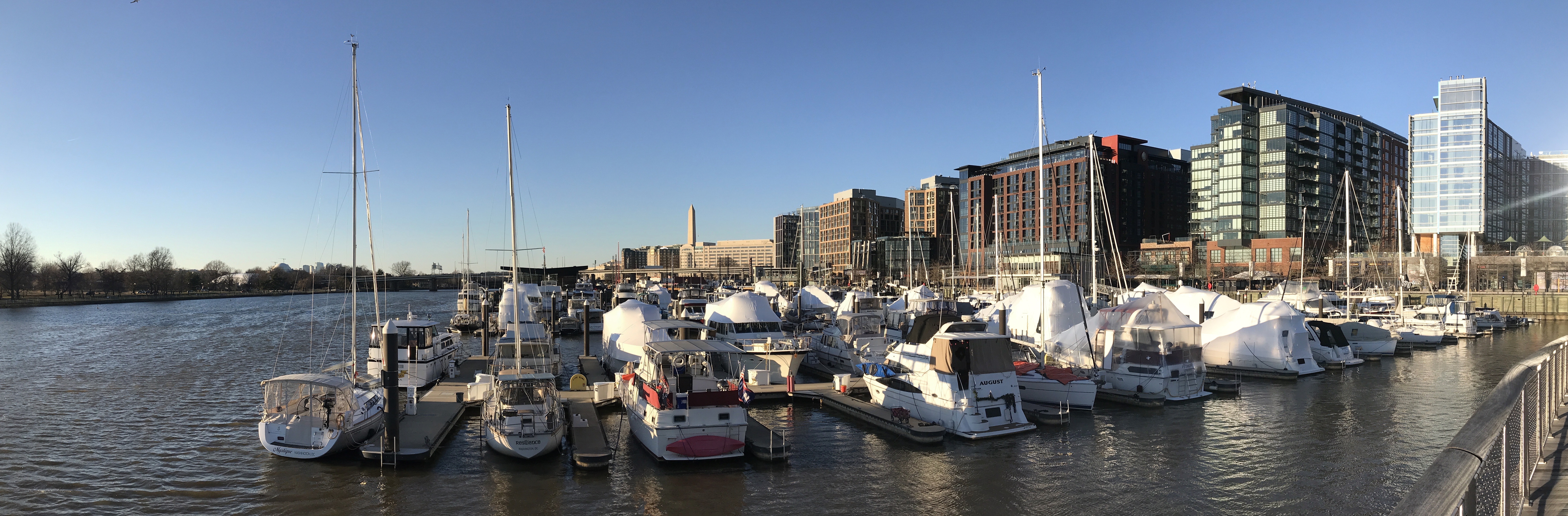 Sunlit Late Afternoon Panorama of Marina with Buildings, Washington Monument in Background.